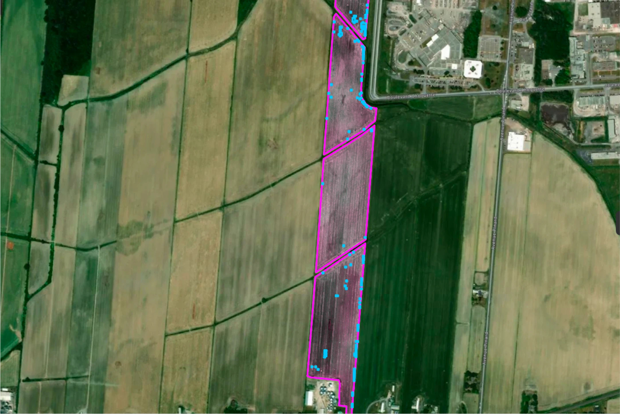 Cartographie multispectrale des Fermes Overbeek – vue aérienne des parcelles agricoles analysées pour la détection des anomalies.