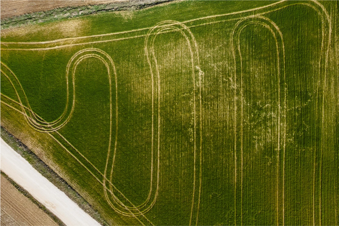 Champ agricole vu par drone, montrant les traces de passage et les zones de croissance irrégulière détectées par cartographie multispectrale.