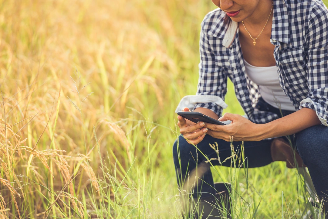 Agricultrice utilisant un téléphone intelligent pour analyser le suivi de croissance des cultures grâce à la cartographie multispectrale.