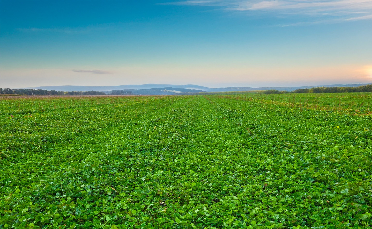 Superficie traitée par épandage solide | Fermes Overbeek