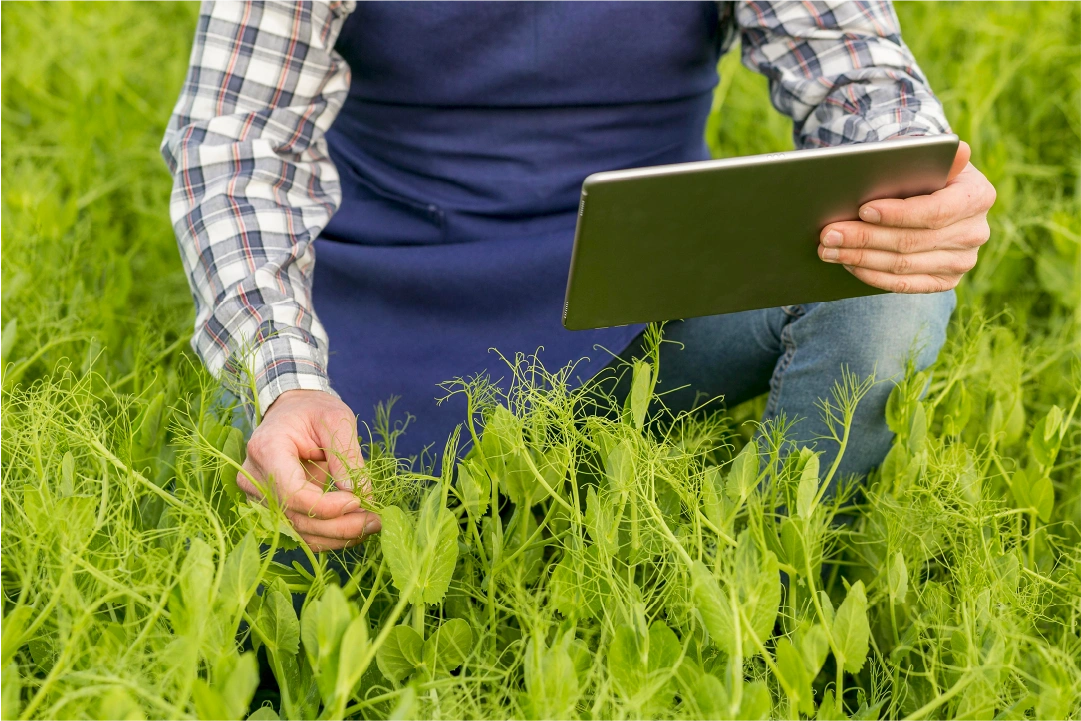 Optimiser la rentabilité agricole avec l’épandage liquide par drone | Fermes Overbeek