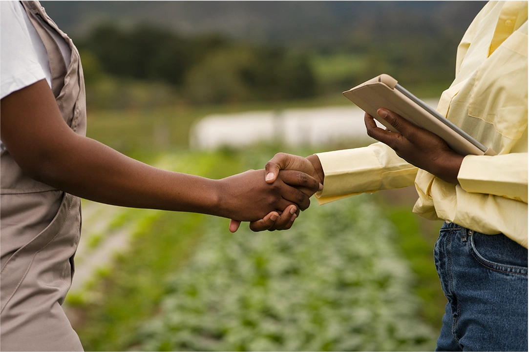 Épandage solide et subventions agricoles | Fermes Overbeek