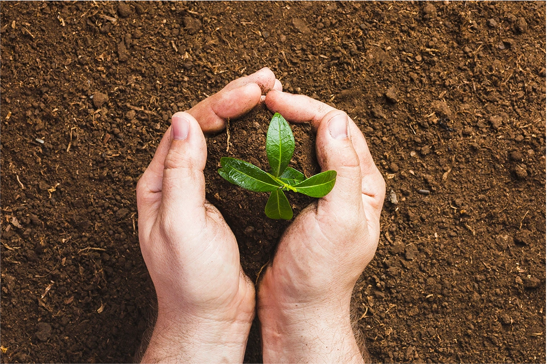 Épandage solide et santé des sols | Fermes Overbeek