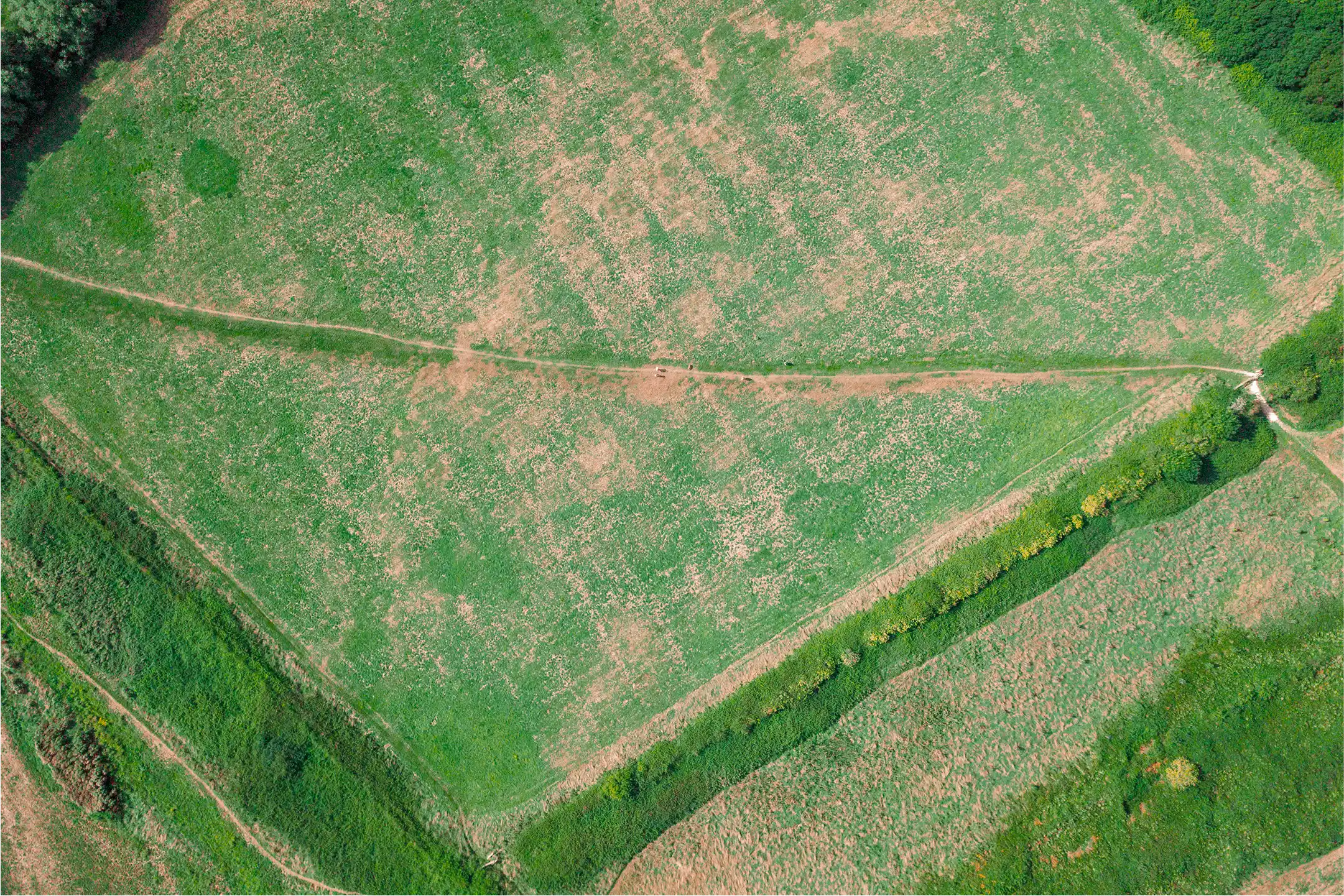 Vue aérienne d’un champ agricole analysé par cartographie multispectrale pour détecter les zones de stress des cultures.